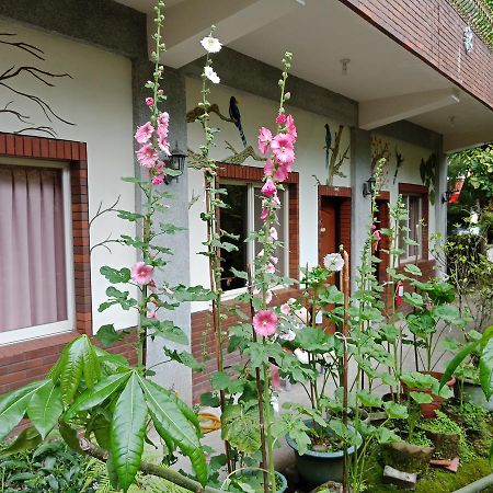 Yi Jia Yuan Homestay Nanzhuang Exteriör bild